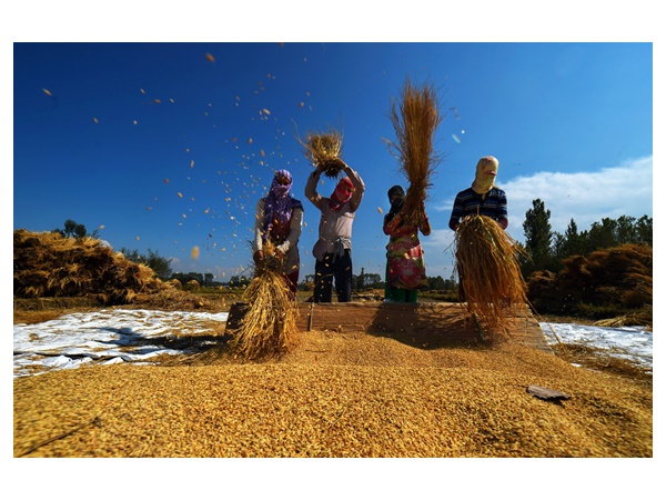 ഉത്തേരന്ത്യൻ സംസ്ഥാനങ്ങൾ മുമ്പിൽ