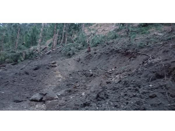  തിരിച്ചടിച്ച് ഇന്ത്യ