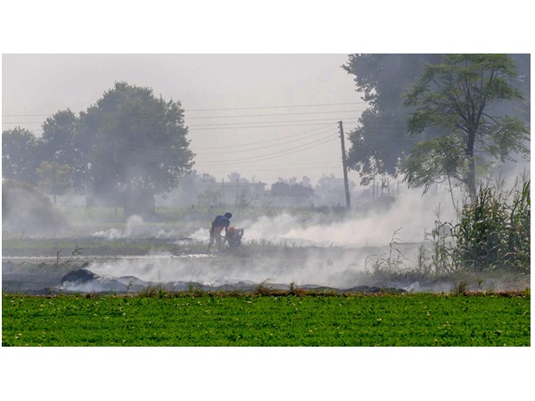 തിരഞ്ഞെടുപ്പ് ചട്ടം തിരഞ്ഞെടുപ്പ് ചട്ടം
