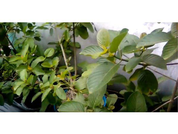 പണ്ട് മുതൽക്കെ 