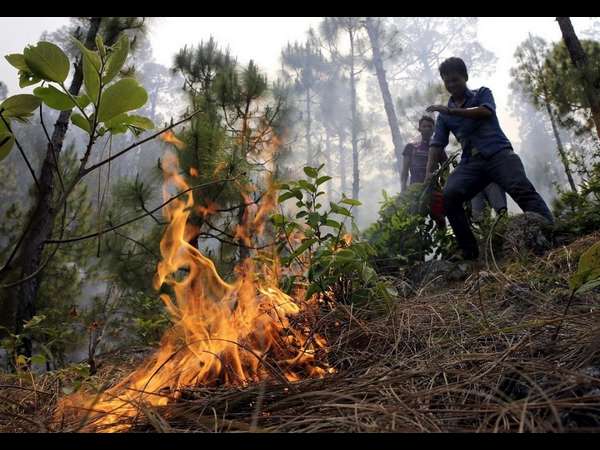 നാട്ടുകാരും 