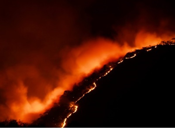 മുതുമലയിലും