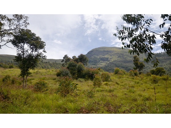 മറയൂര് മറയൂര്