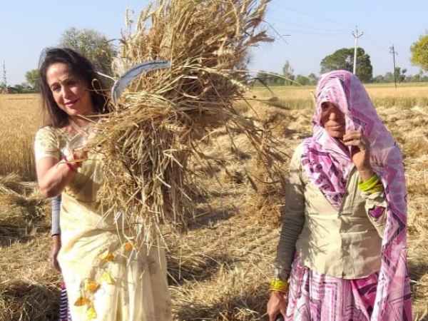 പഞ്ചാബിന്റെ മരുമകൾ