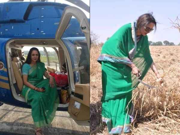 പെട്ടന്നുളള വളർച്ച