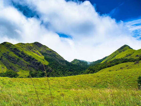 കാർഷിക പ്രശ്നങ്ങൾ