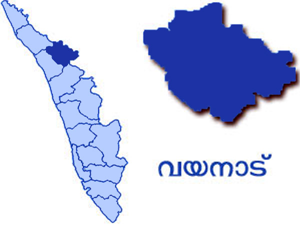 വയനാട് മണ്ഡലം