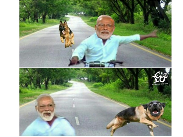 നായ പുറകെ വരുമ്പോള് നായ പുറകെ വരുമ്പോള്