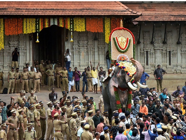 പൂരാഘോഷത്തിനിടയിൽ