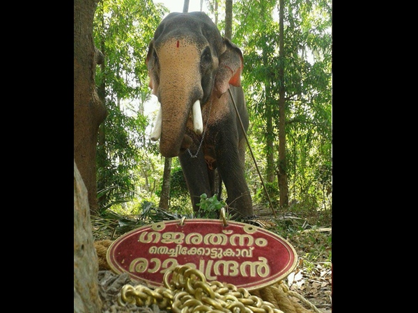 മുന് കരുതലുകള് മുന് കരുതലുകള്