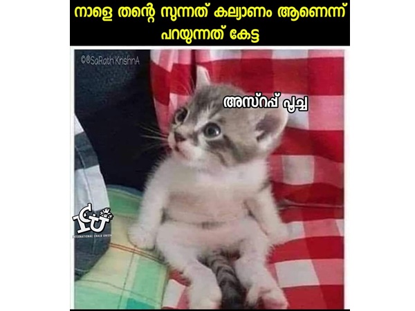 അസ്റപ്പ് പൂച്ച ആണെങ്കില് അസ്റപ്പ് പൂച്ച ആണെങ്കില്