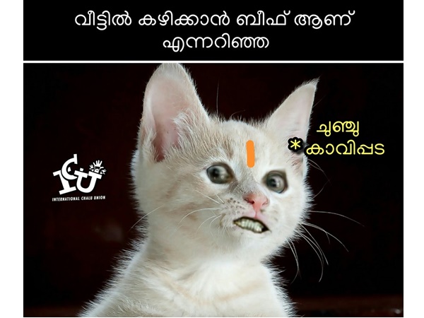 ചുഞ്ചു കാവിപ്പട ചുഞ്ചു കാവിപ്പട