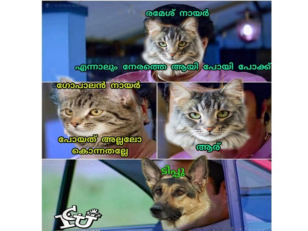 പോയതല്ലല്ലോ... കൊന്നതല്ലേ പോയതല്ലല്ലോ... കൊന്നതല്ലേ