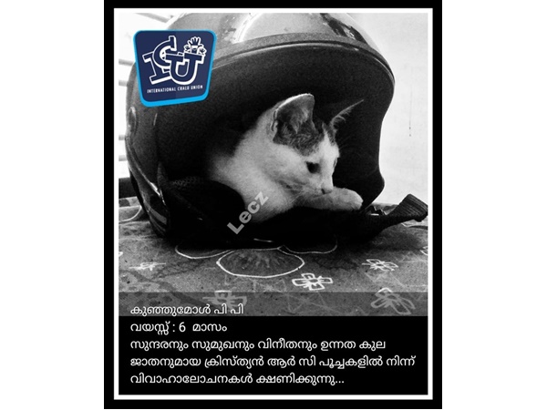 വിവാഹ പരസ്യം വിവാഹ പരസ്യം