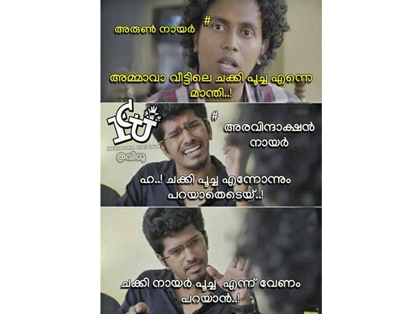ചക്കി നായര് പൂച്ച! ചക്കി നായര് പൂച്ച!