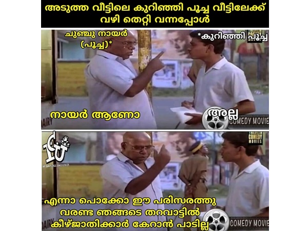കീഴ്ജാതിപ്പൂച്ചകള് കീഴ്ജാതിപ്പൂച്ചകള്