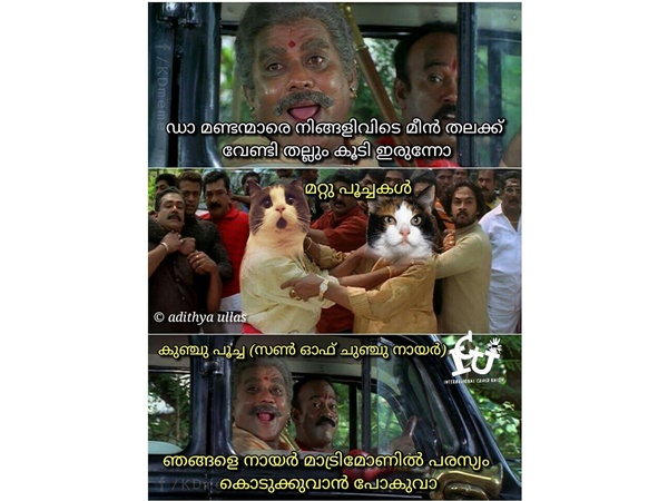 നായര് മാട്രിമോണി നായര് മാട്രിമോണി