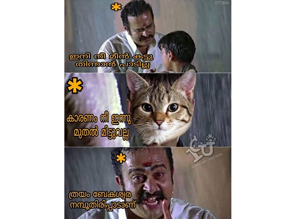 നമ്പൂതിരിപ്പാട് നമ്പൂതിരിപ്പാട്