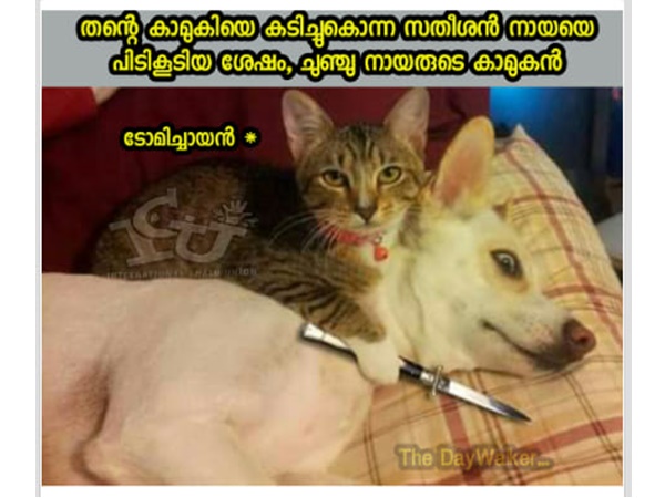 പകരം ഞങ്ങള് വീട്ടിയിരിക്കും പകരം ഞങ്ങള് വീട്ടിയിരിക്കും