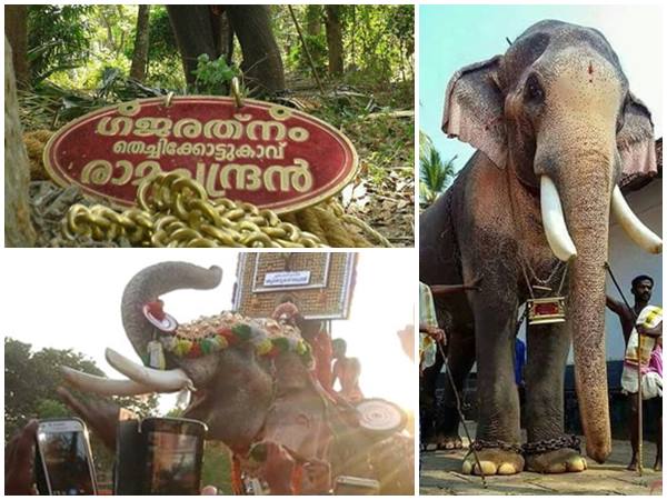 ബിഹാറിയായ ആന ബിഹാറിയായ ആന