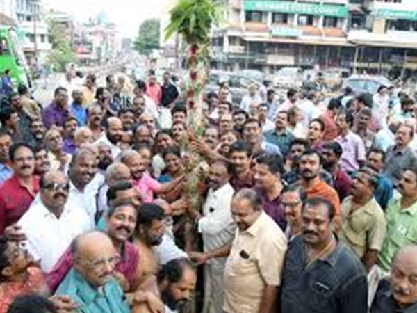 വെണ്‍ചാമരം