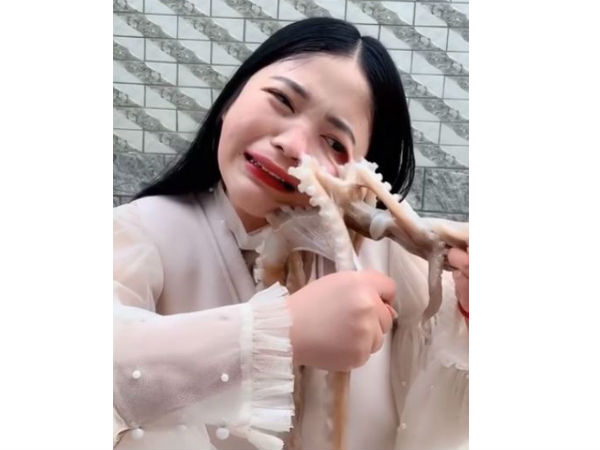 നീരാളിയുടെ പ്രത്യാക്രമണം