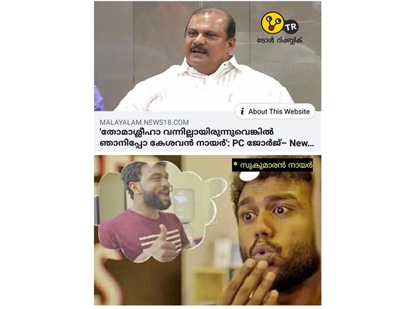 സുകുമാരന്‍ നായര്‍