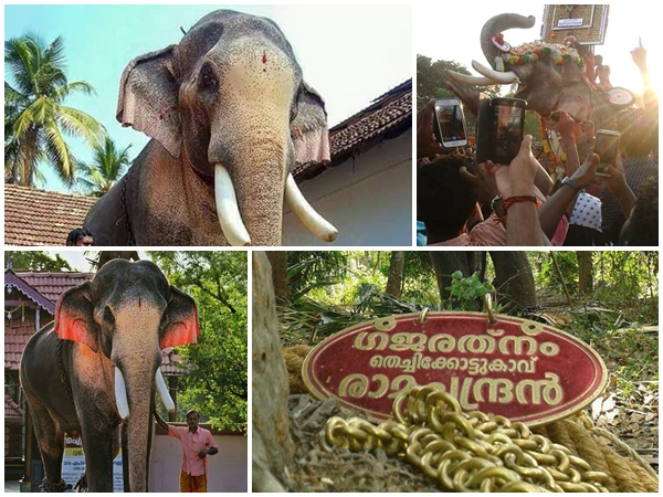  തെച്ചിക്കോട്ട് കാവ് രാമചന്ദ്രൻ 