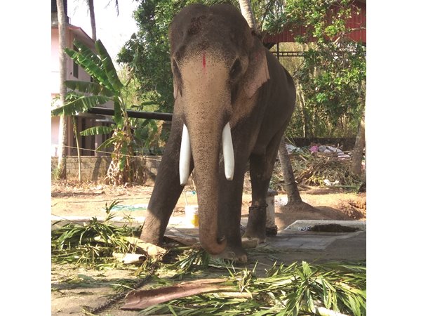 ഉടമകള്‍ തീരുമാനം പുനഃപരിശോധിക്കണം