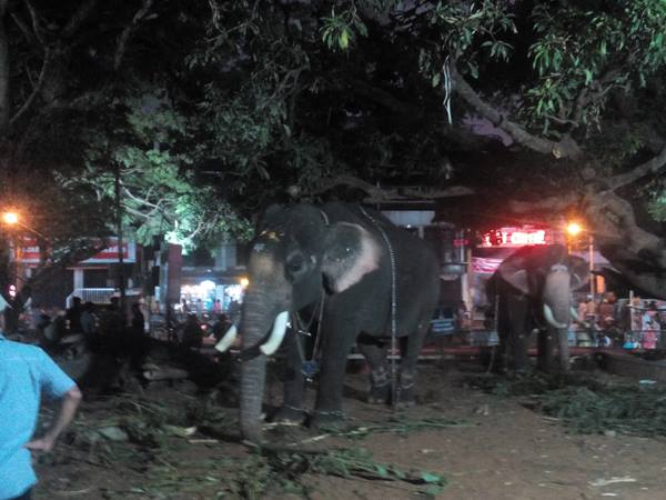 ആദ്യം ദേവീദാസന്‍ തിടമ്പേറ്റി