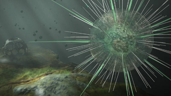 എന്‍സഫലൈറ്റിസ് എന്നാല്‍...