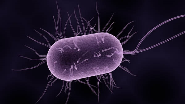 വൈറല്‍ എന്‍സെഫലൈറ്റിസ്