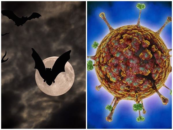 വൈറോളജി ലാബുണ്ടെങ്കിൽ 