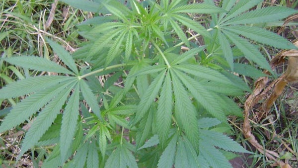 എന്ന് മുതല്‍ 