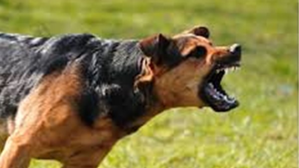 ഡ്രോണ്‍ വരെ ഉപയോഗിച്ചു