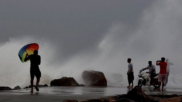 കൃഷികൾക്ക് വ്യാപക നഷ്ടം കൃഷികൾക്ക് വ്യാപക നഷ്ടം