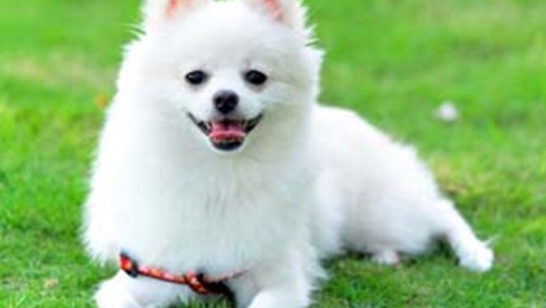 കത്ത് കണ്ടപ്പോള്‍ ഞെട്ടി