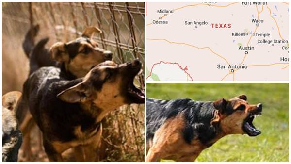 ദുരൂഹത ബാക്കി