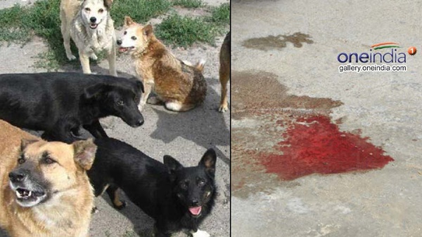 നിര്‍ണായക കണ്ടെത്തല്‍