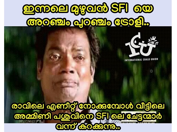 പശുവിനെ കറക്കാന്‍