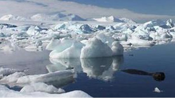 ഹിമപാളികളുടെ ഉരുകൽ അനിയന്ത്രിതമായി വർധിക്കുന്നു ഹിമപാളികളുടെ ഉരുകൽ അനിയന്ത്രിതമായി വർധിക്കുന്നു