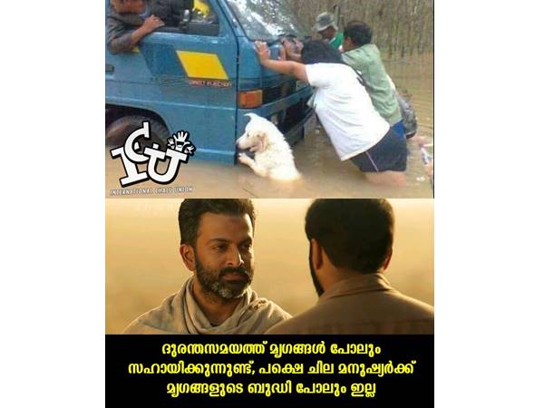 മൃഗങ്ങള്‍ പോലും