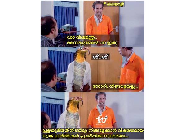 വിഷ ജന്തുക്കള്‍...