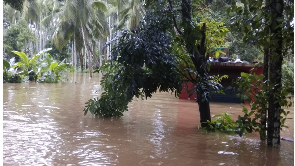 റദ്ദാക്കിയ പാസഞ്ചർ ട്രെയിനുകൾ