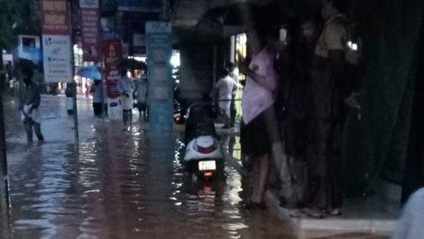 പരിസ്ഥിതി നാശം പരിസ്ഥിതി നാശം