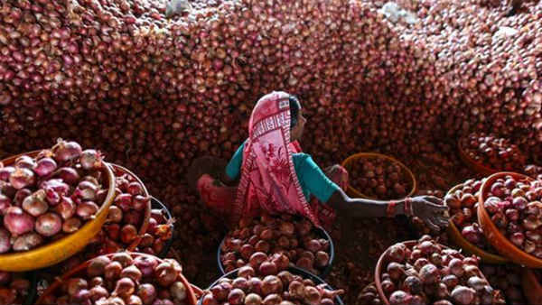  അന്വേഷണം ഗുജറാത്തിലേക്കും