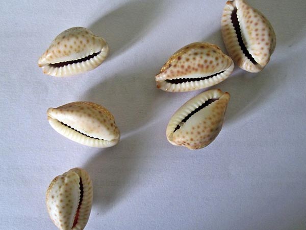 ഒളിവില്‍