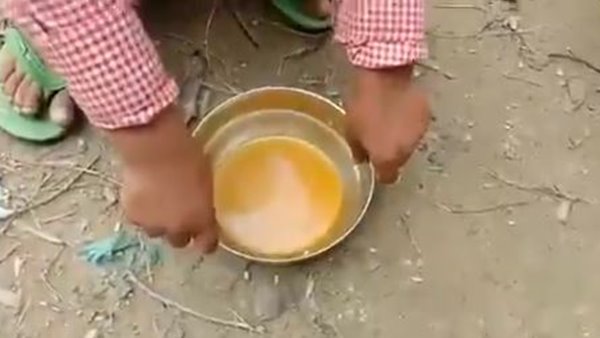ചോറും സൊയാബീനും ചോറും സൊയാബീനും