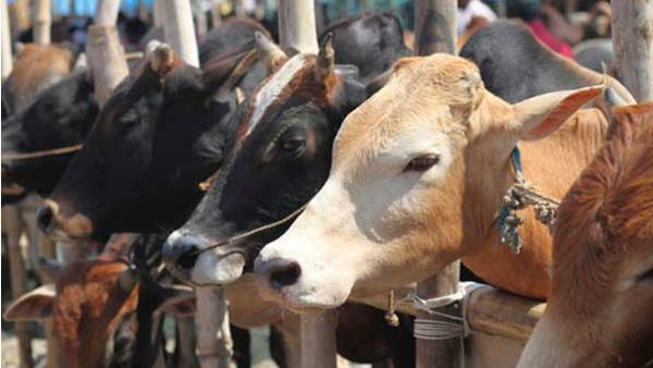 തെറ്റായ വിവരത്തില് ആക്രമണം... തെറ്റായ വിവരത്തില് ആക്രമണം...