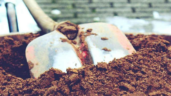  ബറേലിയിലാണ് സംഭവം